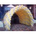 VIP Entrance Tunnel Balloon Arch